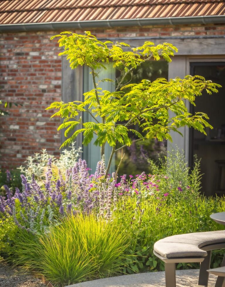 garden design landscaping before 01