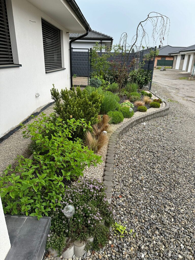 garden renovation progress 05