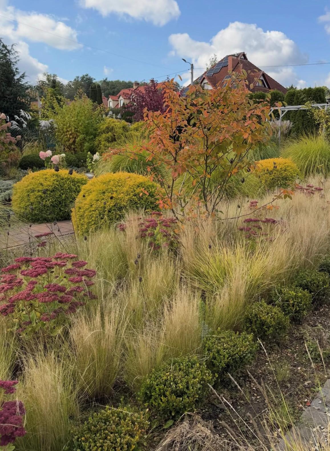 O nás grass garden sample