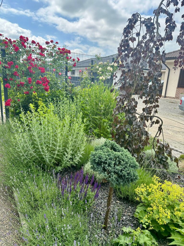landscape design ideas 04